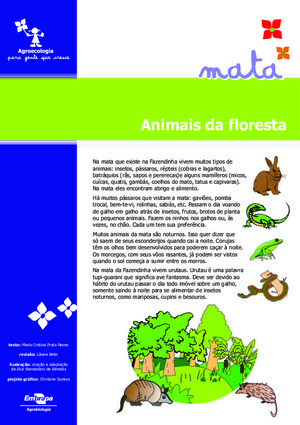 Animais da Floresta